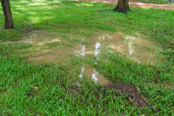 Storm Water Drainage Service in Pittsburgh