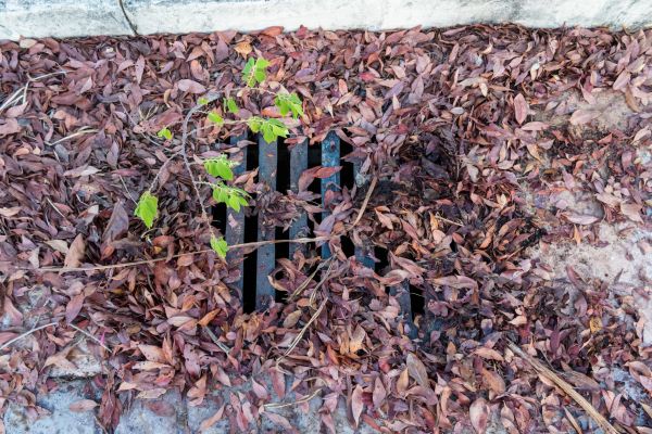 Yard Drain Unclogging in Pittsburgh
