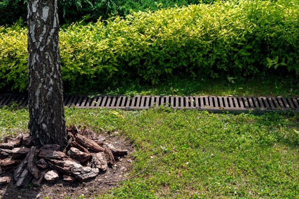 Garden Drainage Installation in Pittsburgh