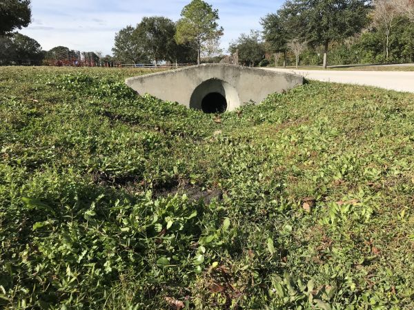 Cost of Swale Drainage Service in Pittsburgh