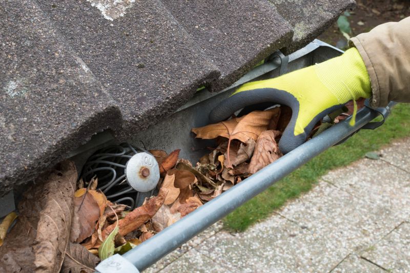 Gutter Maintenance